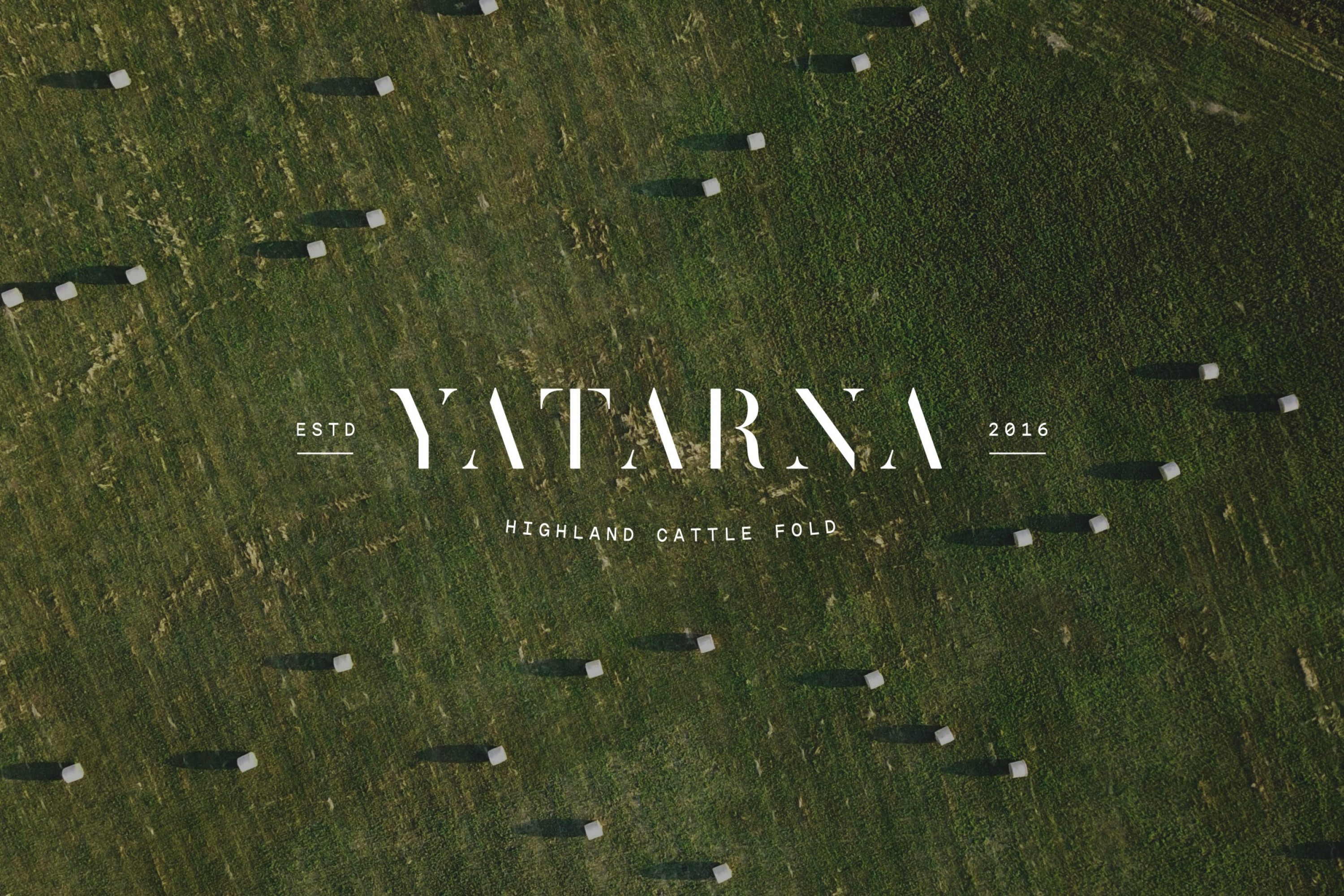 Yatarna 4